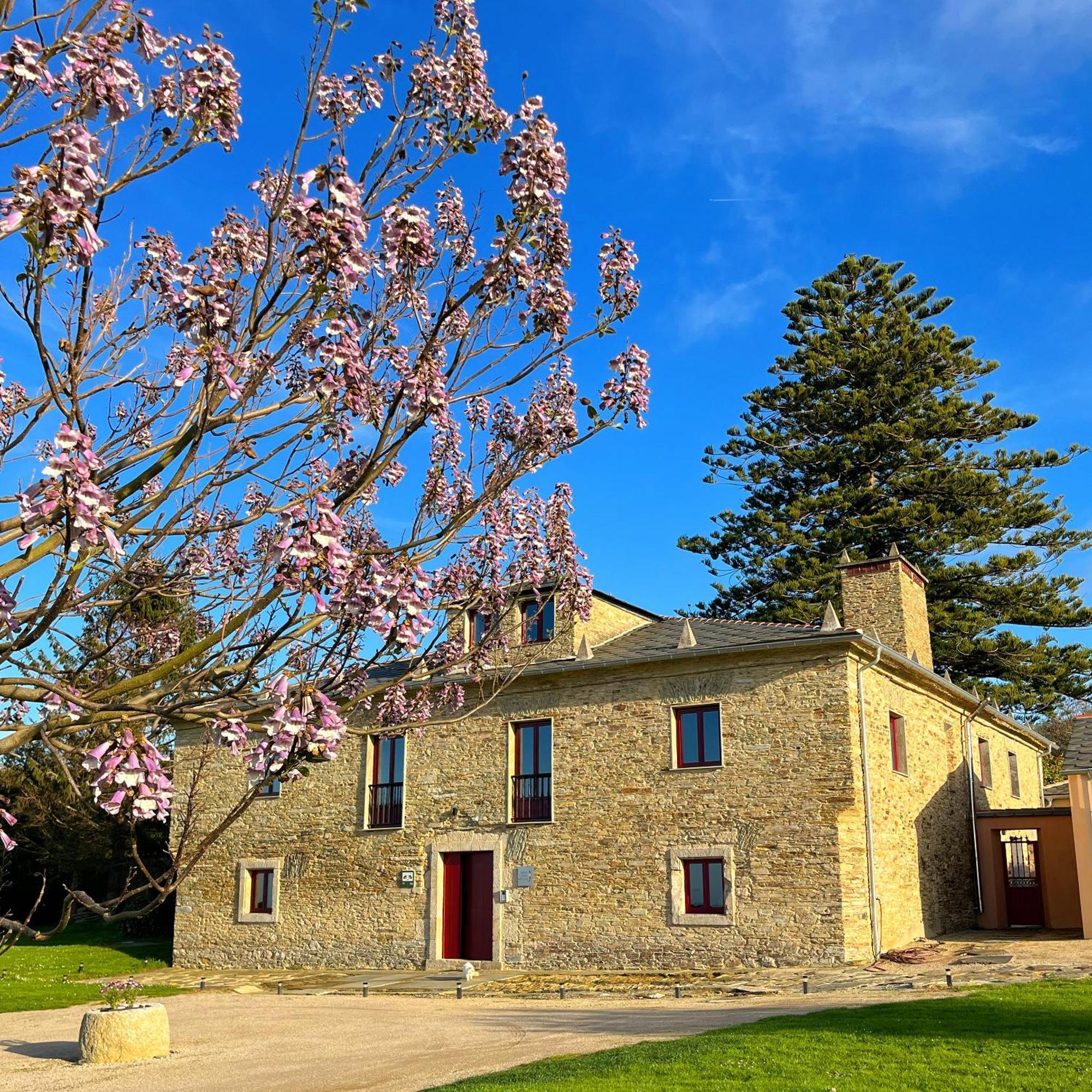 منزل الضيف باريروس  في Araucaria House المظهر الخارجي الصورة